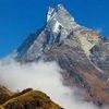 himalayan_d